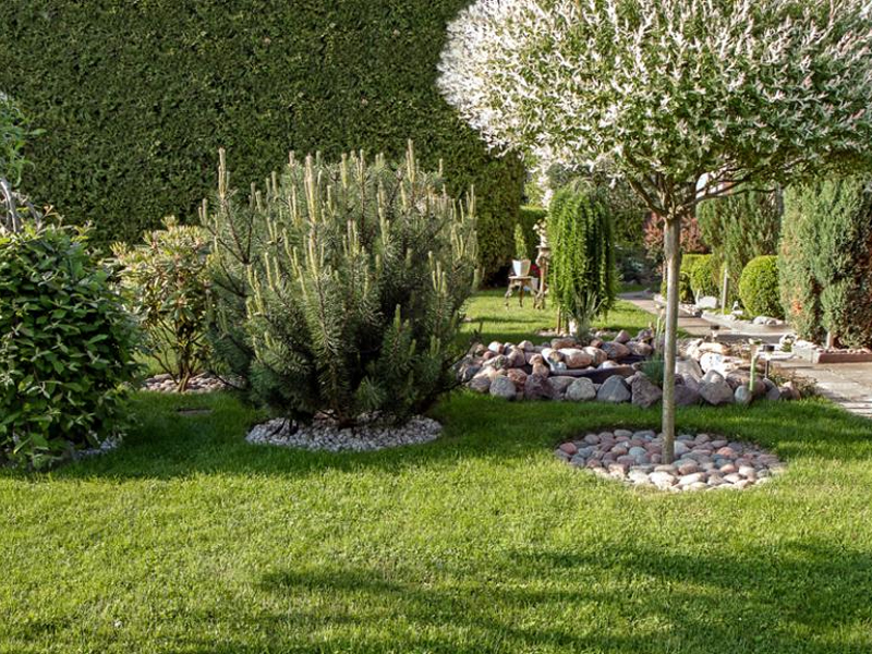 Entretien d'espaces verts près de Corbeil-Essonnes