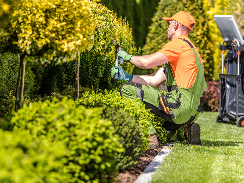 Entretien d'espaces verts près de Corbeil-Essonnes