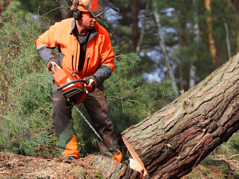Entretien d'espaces verts près de Corbeil-Essonnes