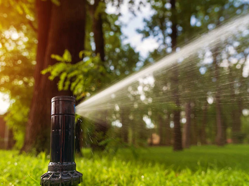 Entretien d'espaces verts près de Corbeil-Essonnes