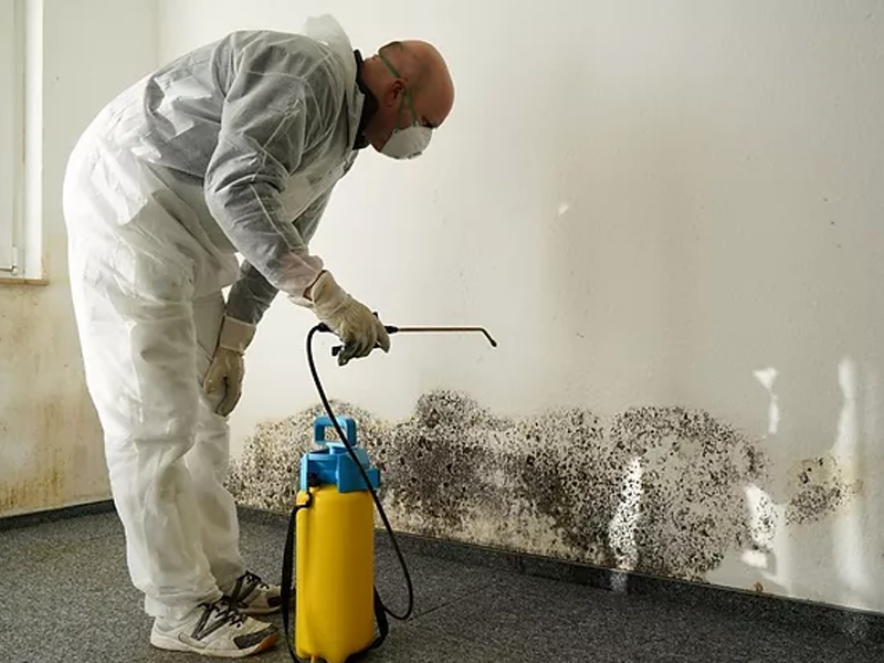 Maintenance et remise en état de locaux dans l'Essonne