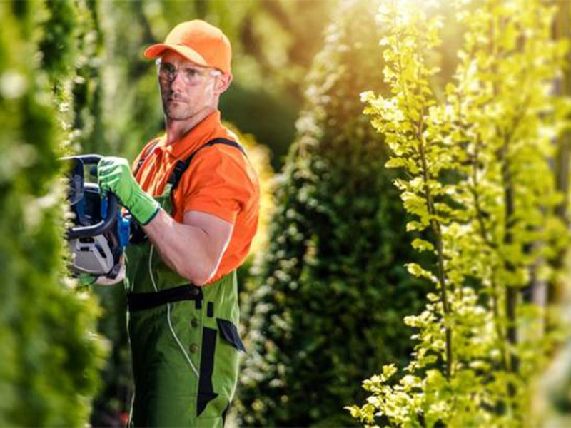 Entreprise de nettoyage d’immeuble dans l'Essonne